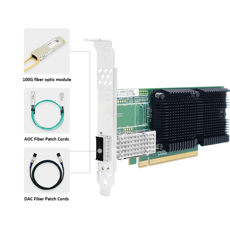 LR-LINK 1019PF-QSFP28 PCIe x16 - đánh giá và giá 100Gbe Qsfp28 Network Card